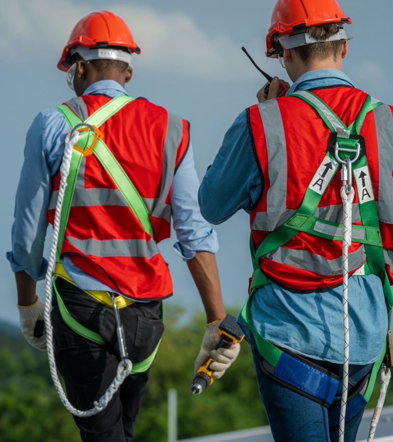 Fall arrestor device for worker with hooks for safety body harness. Fall arrestor device for worker with hooks for safety body harness.