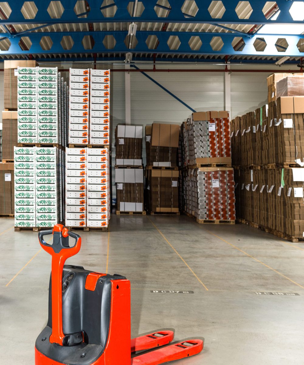Mechanical dolly with pallets in warehouse